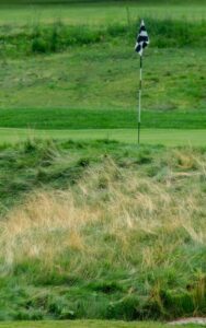 Prairie Pines Golf Course Information Prairie Athletic Club Prairie Pines Golf Course Information Prairie Athletic Club